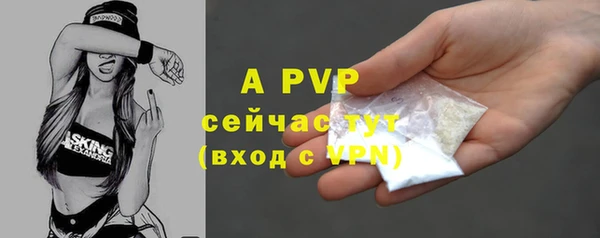 a pvp Богданович